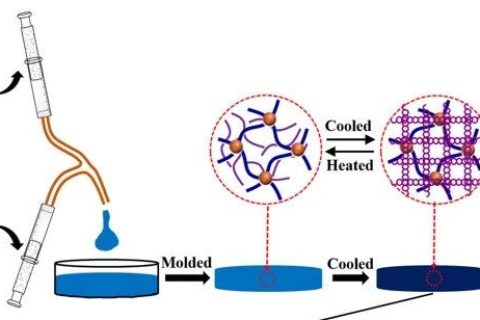 自抗菌、自粘附、可修復、可注射、耐酸耐堿的DN水凝膠粘附敷料