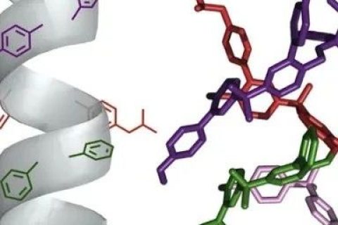 英國(guó)曼徹斯特大學(xué)Leigh院士《Chem》：分子機(jī)器精準(zhǔn)“生產(chǎn)”單序列低聚物