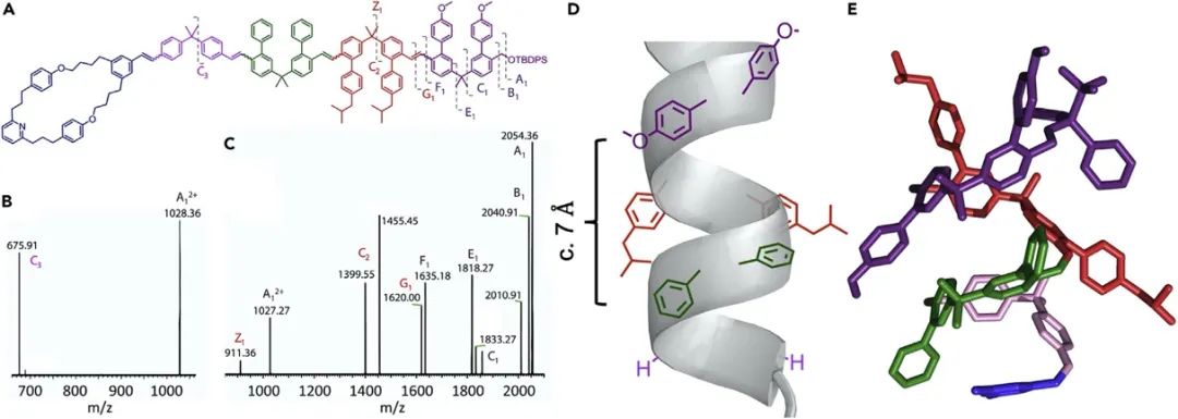 英國曼徹斯特大學Leigh院士《Chem》：分子機器精準“生產(chǎn)”單序列低聚物