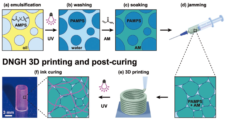 《AFM》：3D打印制造高強韌雙網(wǎng)絡(luò)顆粒水凝膠