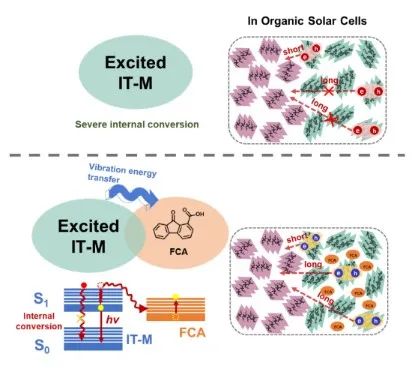 北京師范大學(xué)薄志山等《AM》：提高有機(jī)光伏電池性能的新途徑——延長(zhǎng)激子壽命、增加激子擴(kuò)散距離