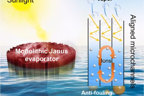 具有防污和減鹽特性的自給自足的Janus氣凝膠，用于穩(wěn)定日光蒸發(fā)