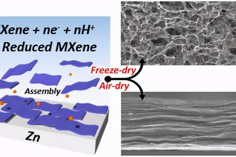 ACS Nano:界面電化學自組裝多維 Ti3C2Tx MXene 架構(gòu)及水-氣凝膠應(yīng)用