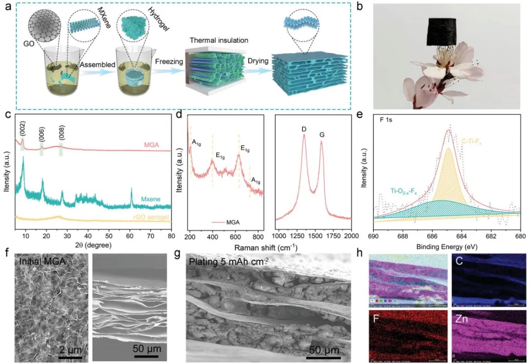 MXene/石墨烯氣凝膠支架！實(shí)現(xiàn)可折疊的穩(wěn)定鋅負(fù)極