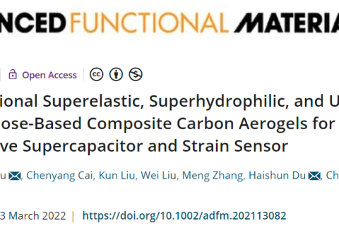 超彈、超輕、超親水的多功能CNF/CNT/RGO碳?xì)饽z！