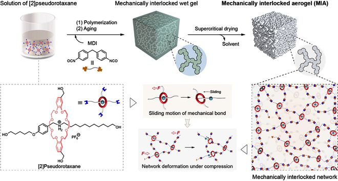 機(jī)械互鎖聚合物氣凝膠(Mechanically interlocked aerogel, MIA)的設(shè)計(jì)構(gòu)筑。